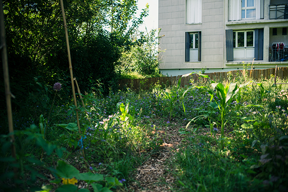 potage-jardin-solidaire-tuileries